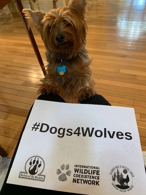 #Dogs4Wolves